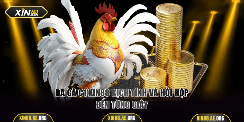 Đá gà C1 Xin88 kịch tính và hồi hộp đến từng giây