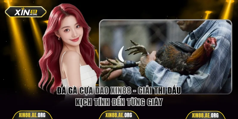 Đá gà cựa dao Xin88 kịch tính đến từng giây