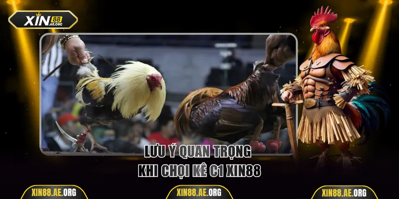 Lưu ý quan trọng khi chọi kê C1 Xin88